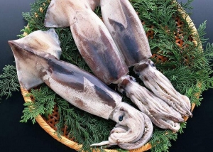 桂林魷魚